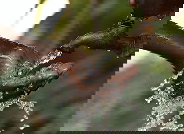 赛事解说与评论制作